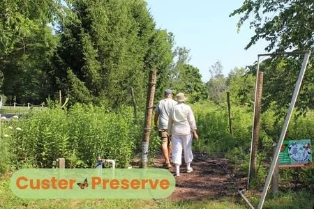 Custer Preserve Native Garden Maintenance, Southold