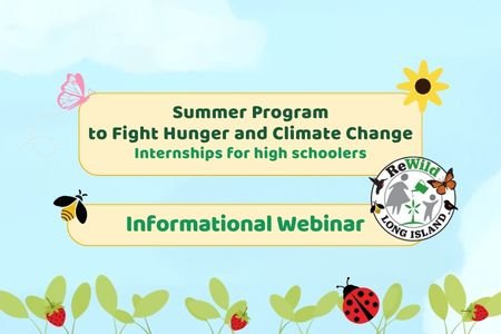 Summer Program Informational Webinar 