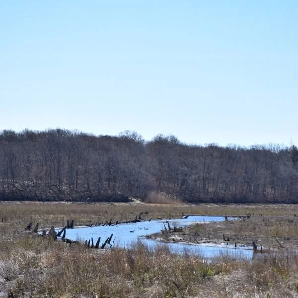 '26 Blydenburgh County Park
