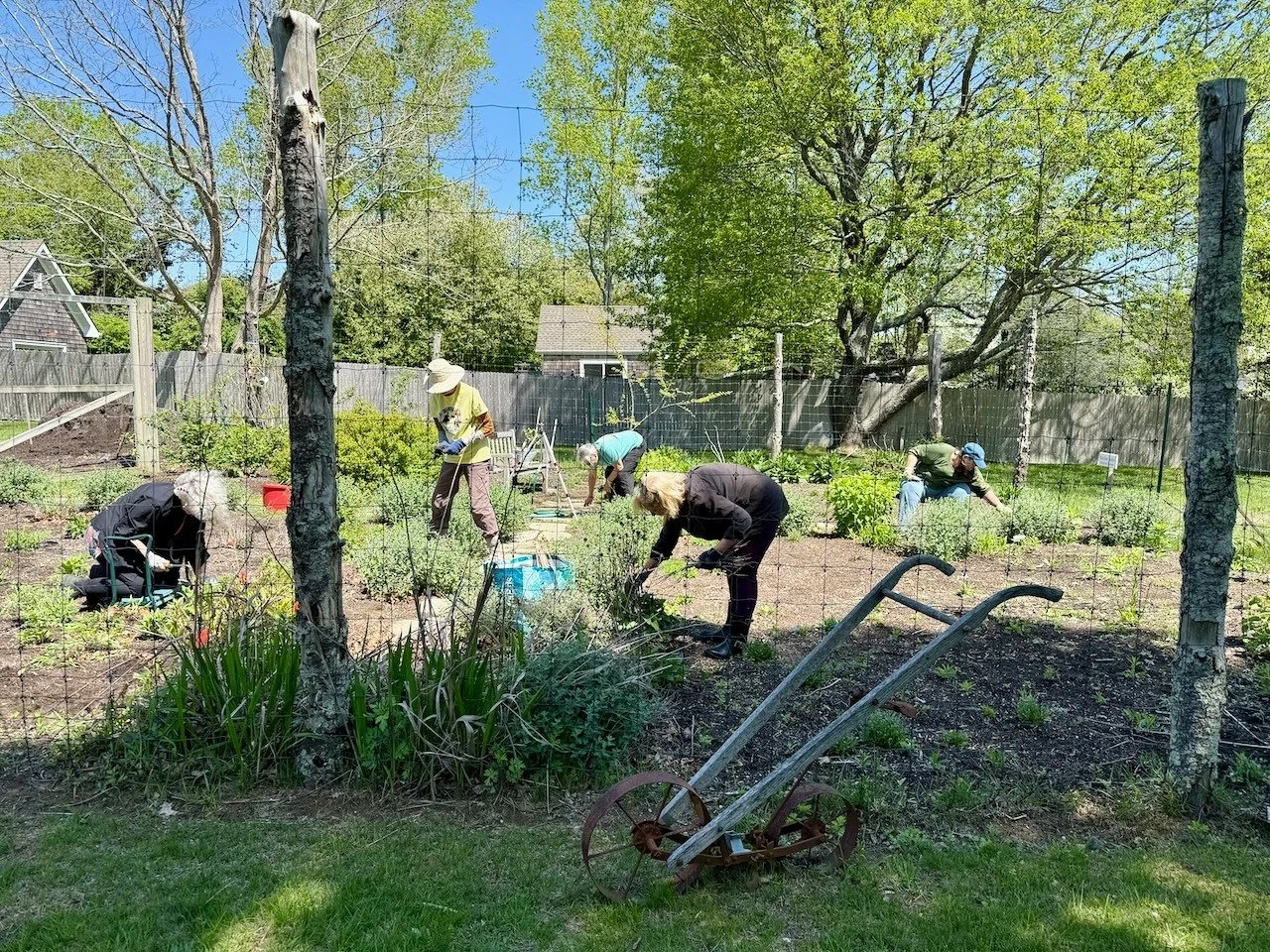 Spring Clean up at Matthew’s Pollinator Garden