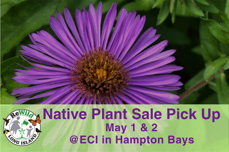 South Fork Native Plant Sale Pickup