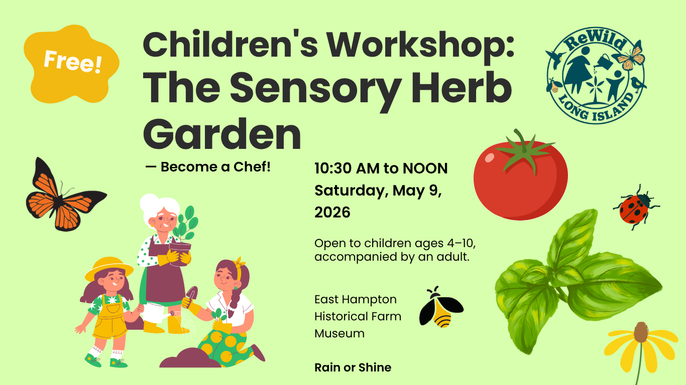 Free Children's Workshop: "The Sensory Herb Garden — Become a Chef!