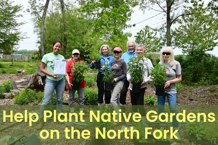 ReWild / North Fork Community Gardens 