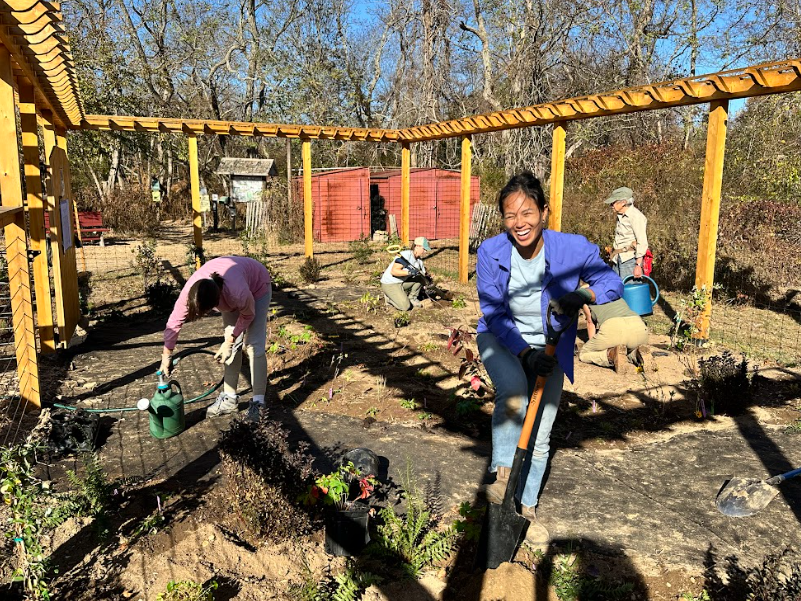 Spring clean-up in the Berries for Birds Garden, a ReWild Garden and Rain Garden