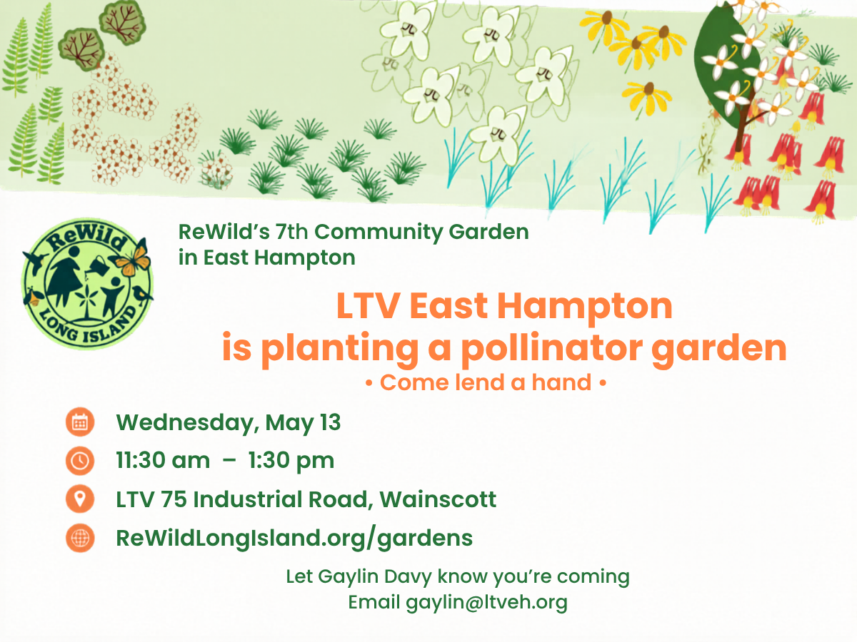 Join Planting Day at LTV East Hampton