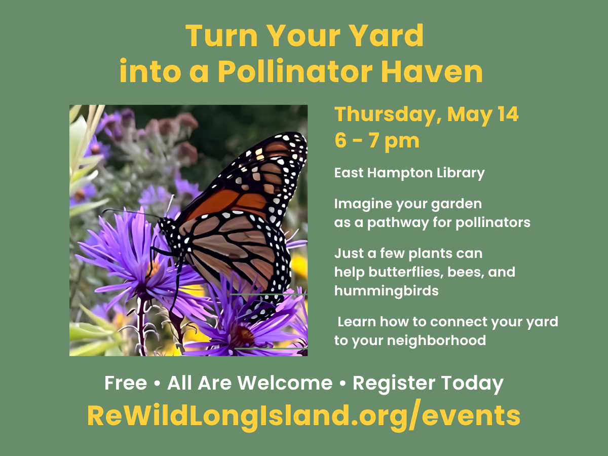 Imagine Your Garden as a Pollinator Pathway