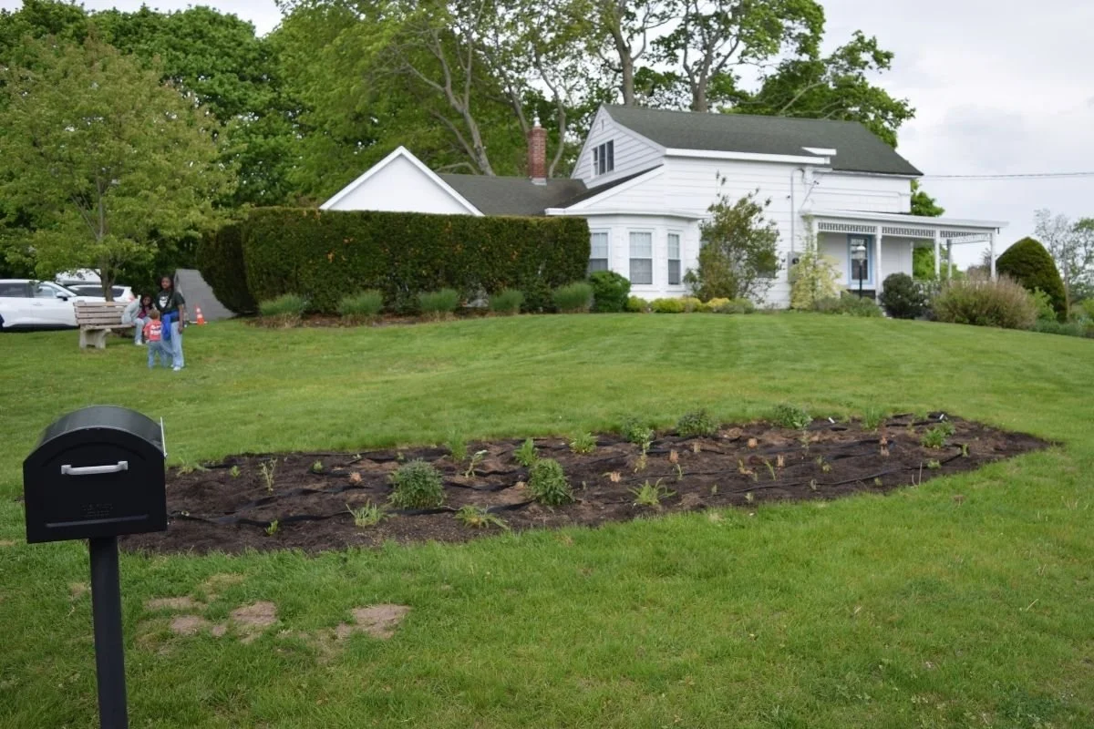 Garden Area 2, After on Planting Day