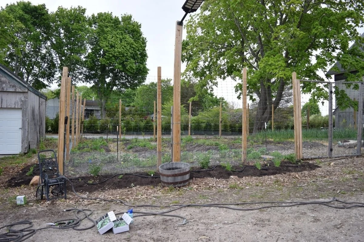 Garden Area 1, After on Planting Day