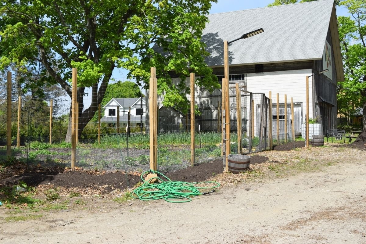 Garden Area 1, Before
