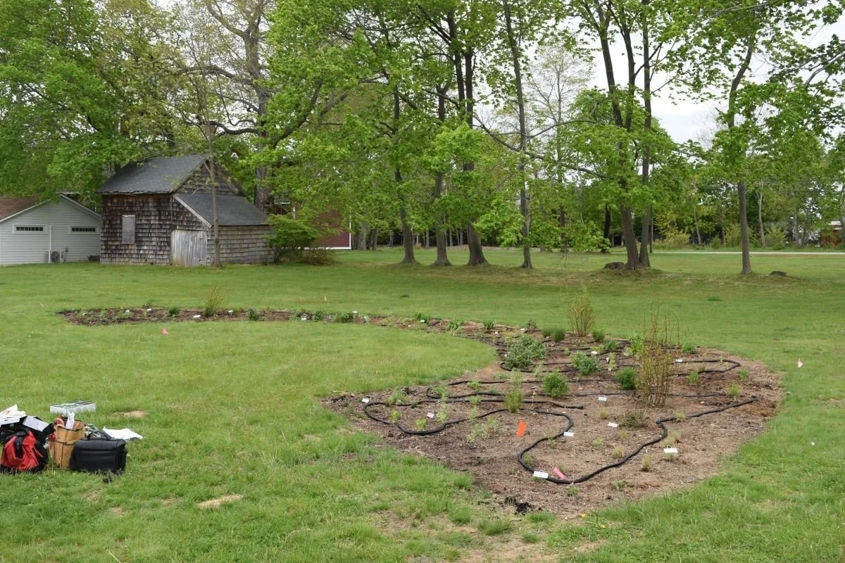 Garden After Planting Day