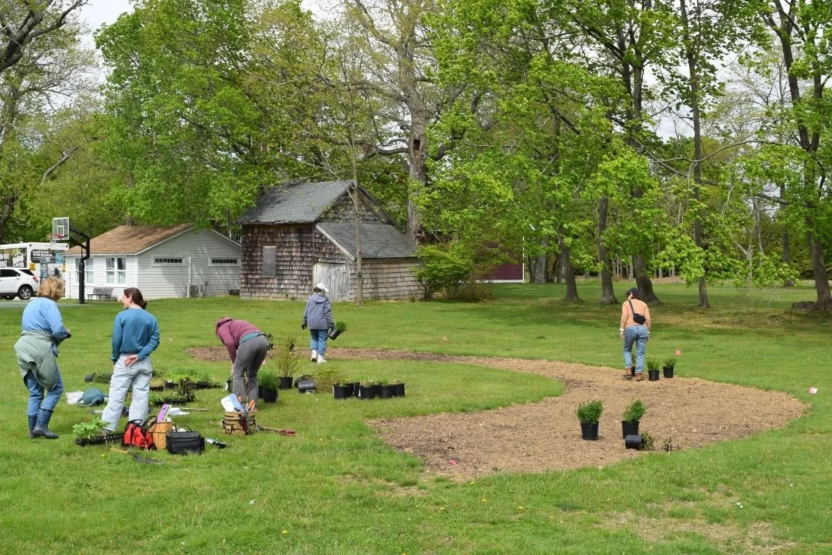 Garden Before Planting