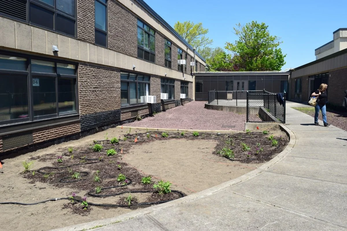 Garden After Planting Day