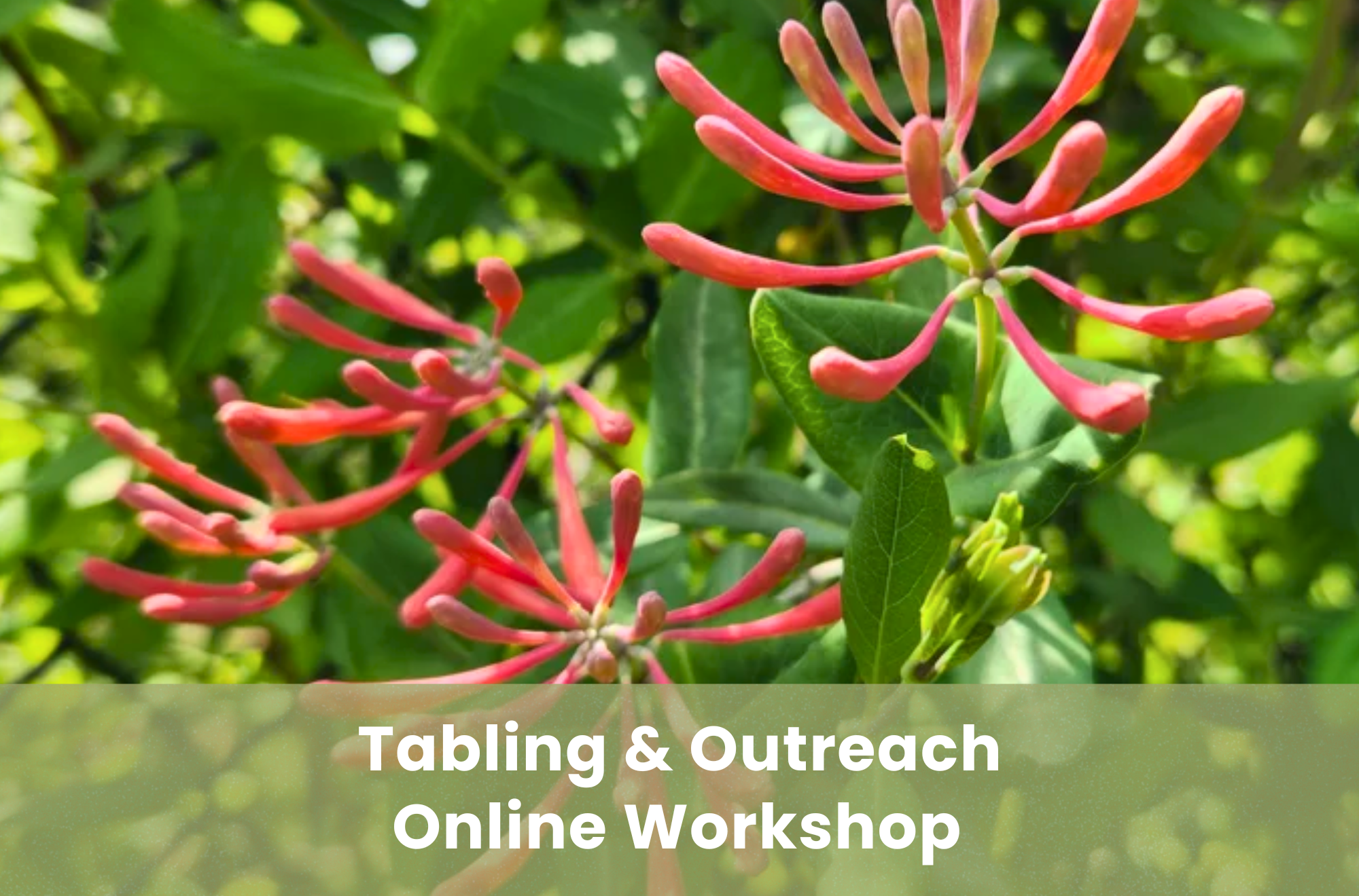 SPEAKERS AND GARDENERS: Tips for Tabling &amp; Outreach