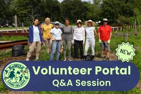 VicNet Q&amp;A Session on Zoom