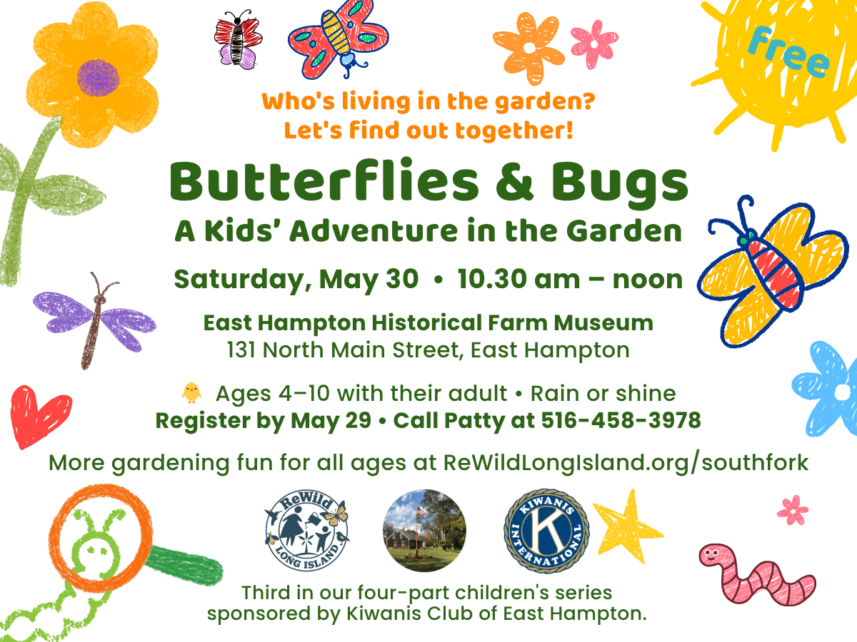 Butterflies &amp; Bugs: A Kids' Adventure in the Garden