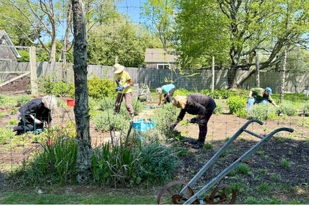 Spring Cleaning Party at Matthew’s Garden
