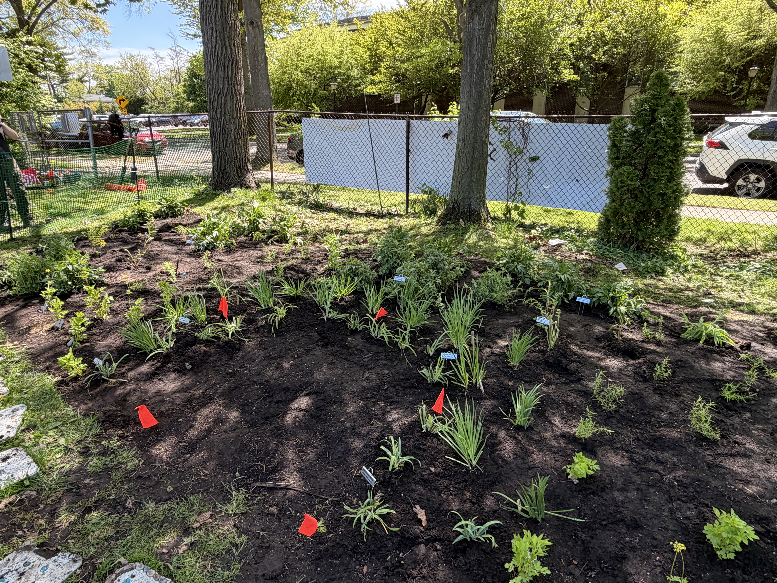 After initial planting.