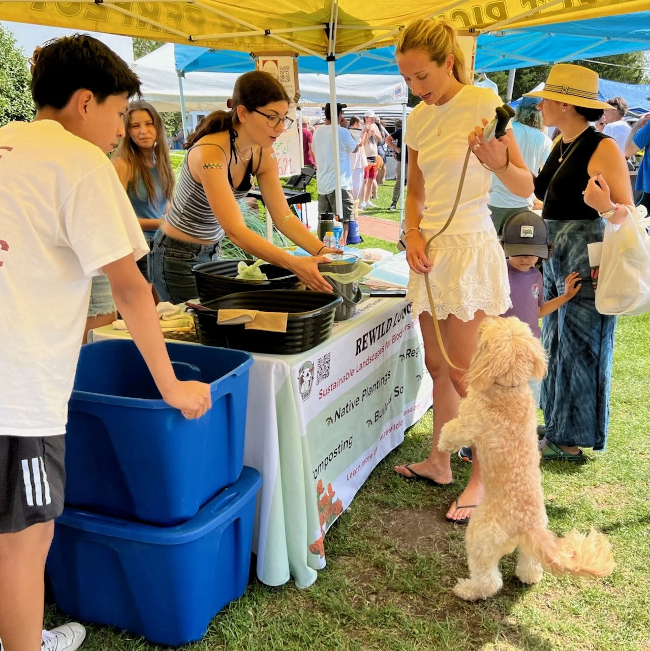 ReWild Saturdays at Springs Farmers Market: Compost &amp; Pollinators, too 