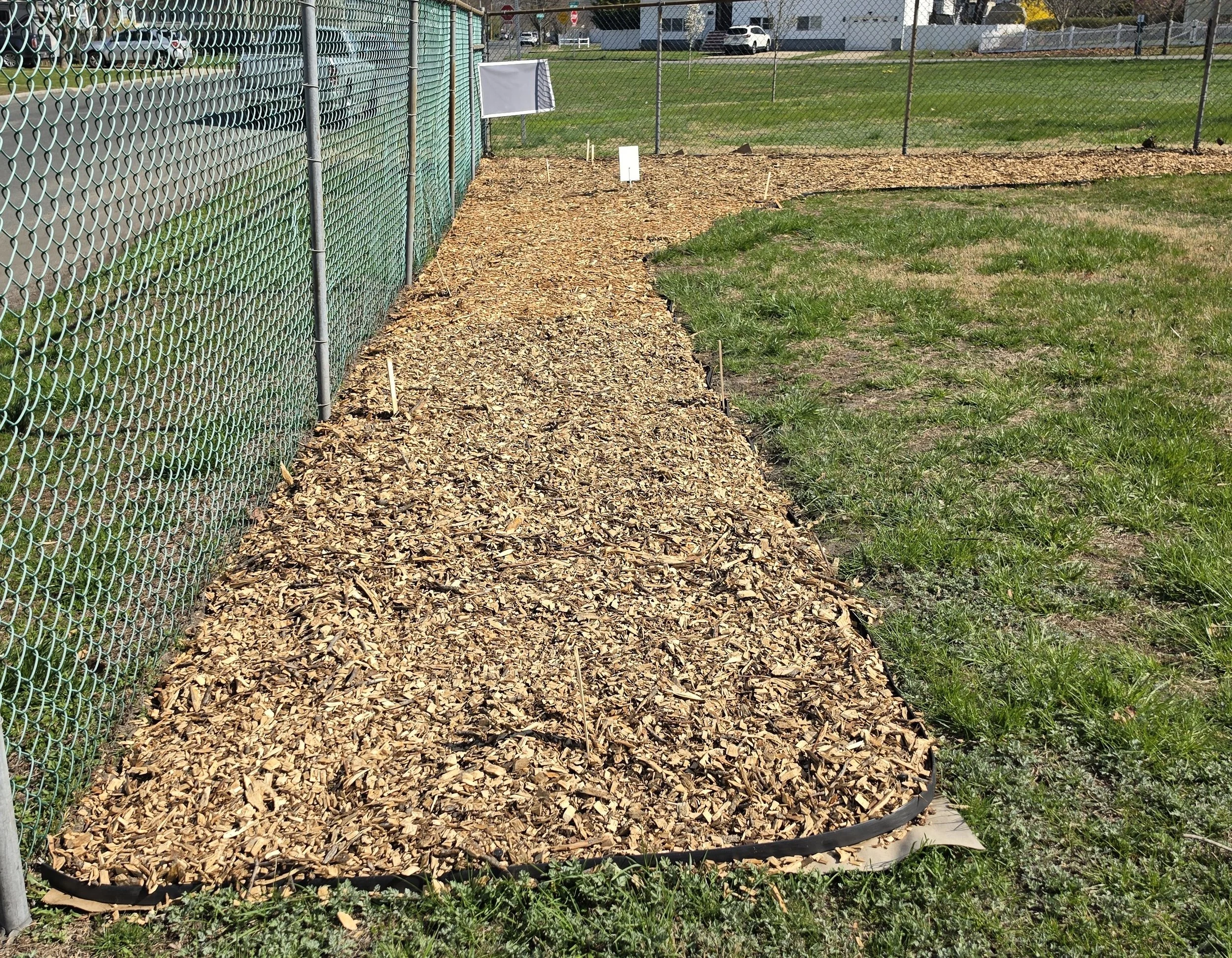 Before planting