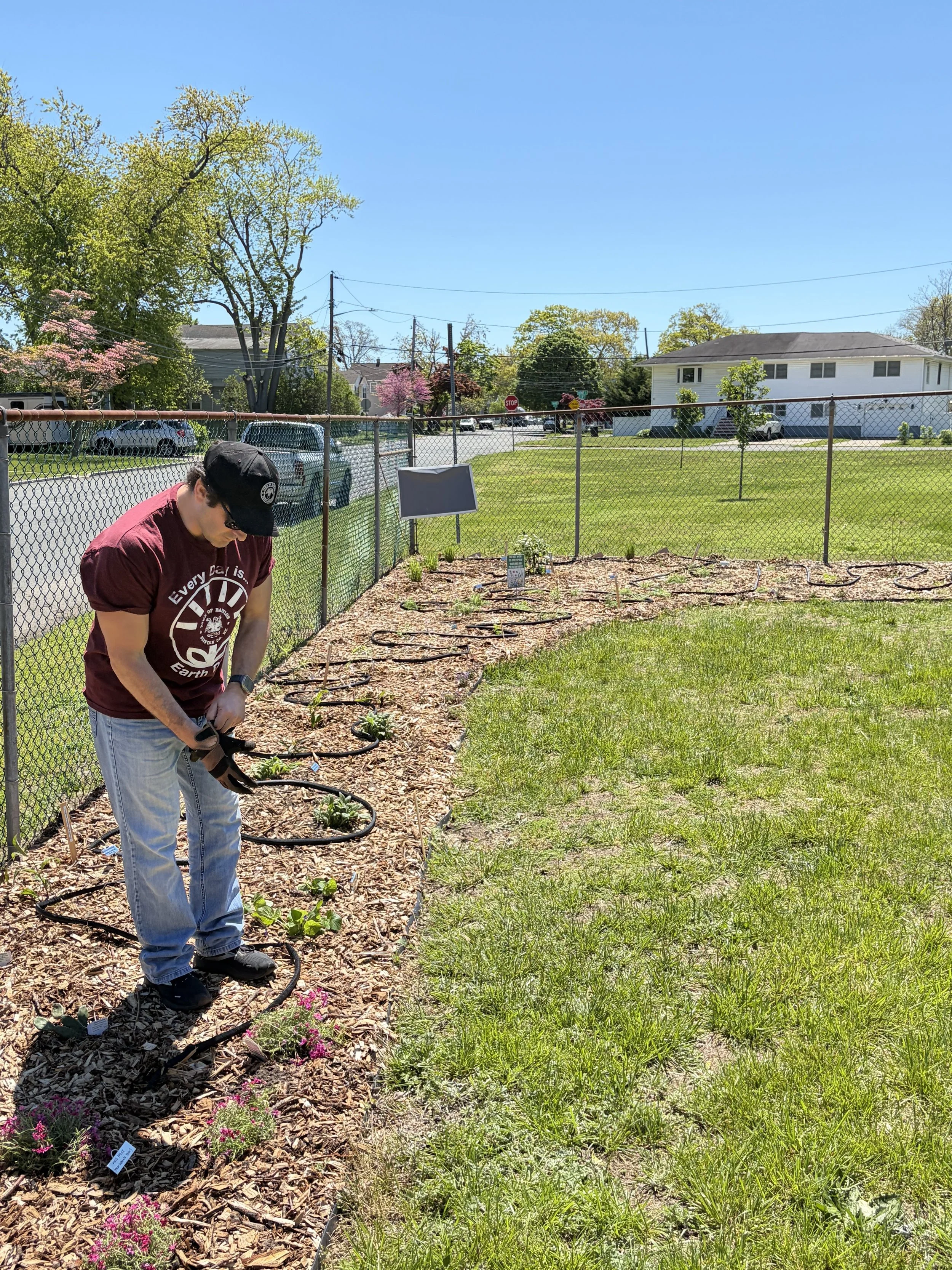 Planting day!
