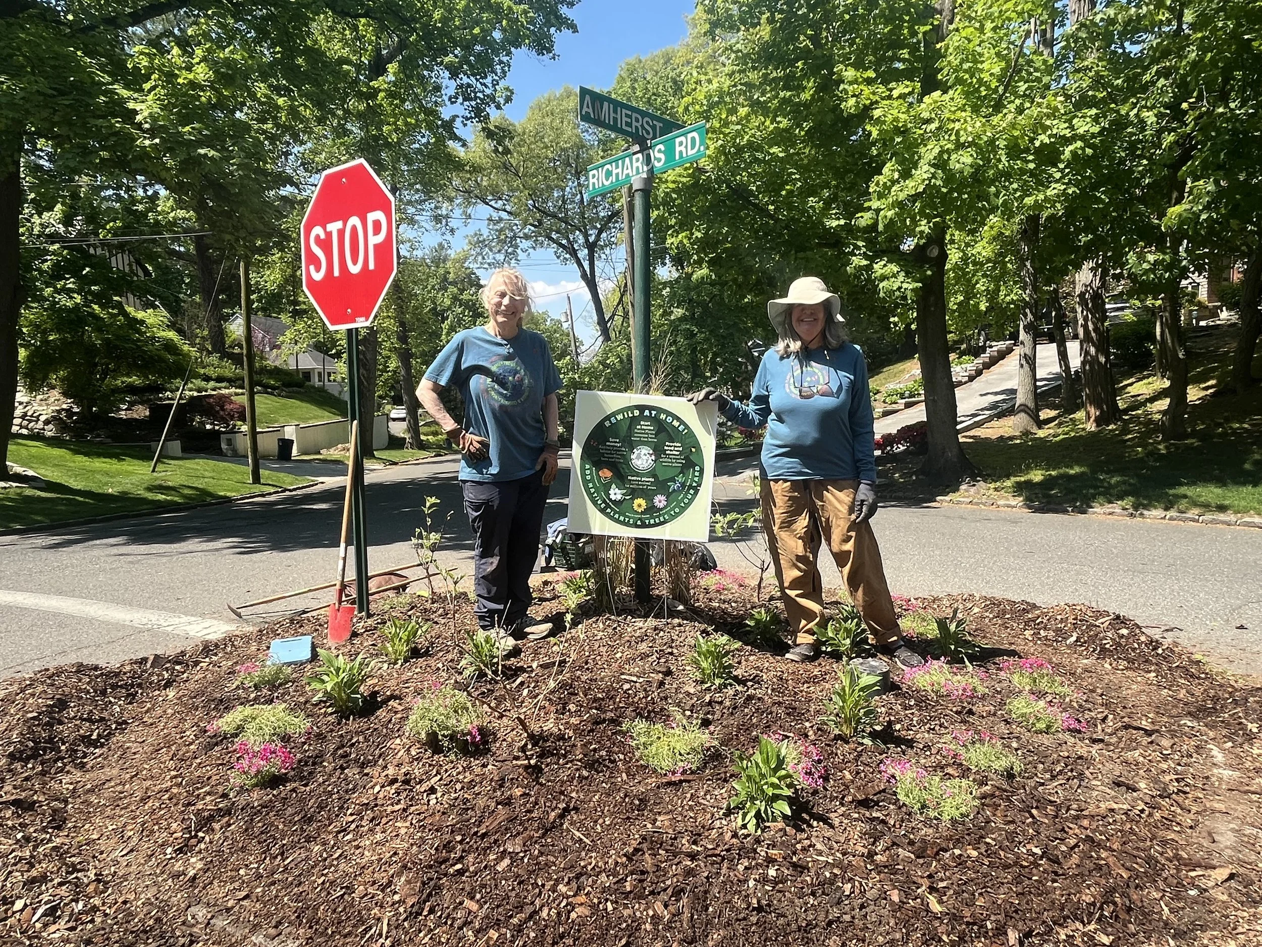 After initial planting of the traffic circle, Spring 2026