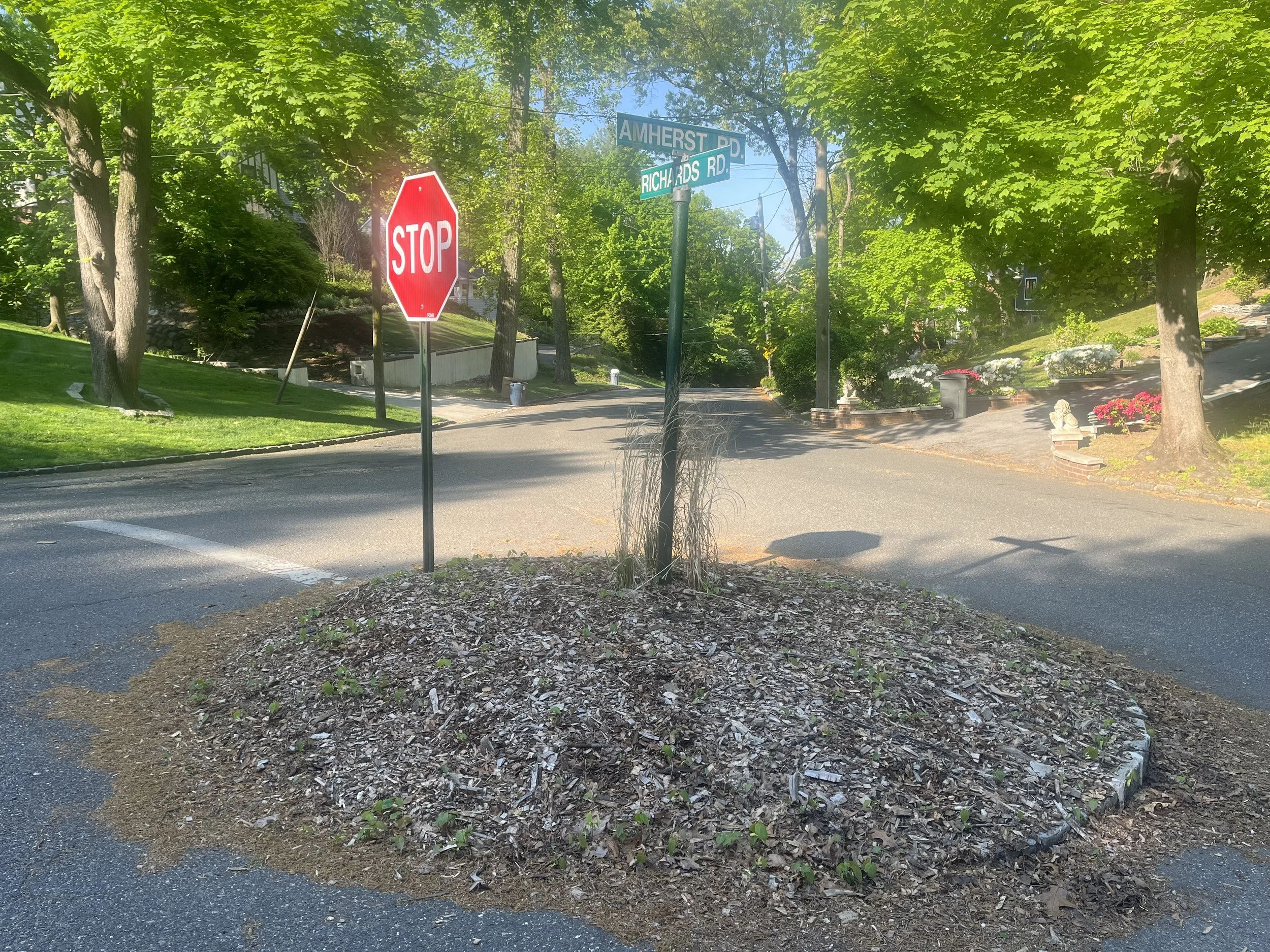 Before planting the traffic circle, Spring 2026