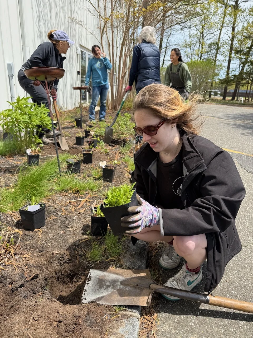Planting in progress