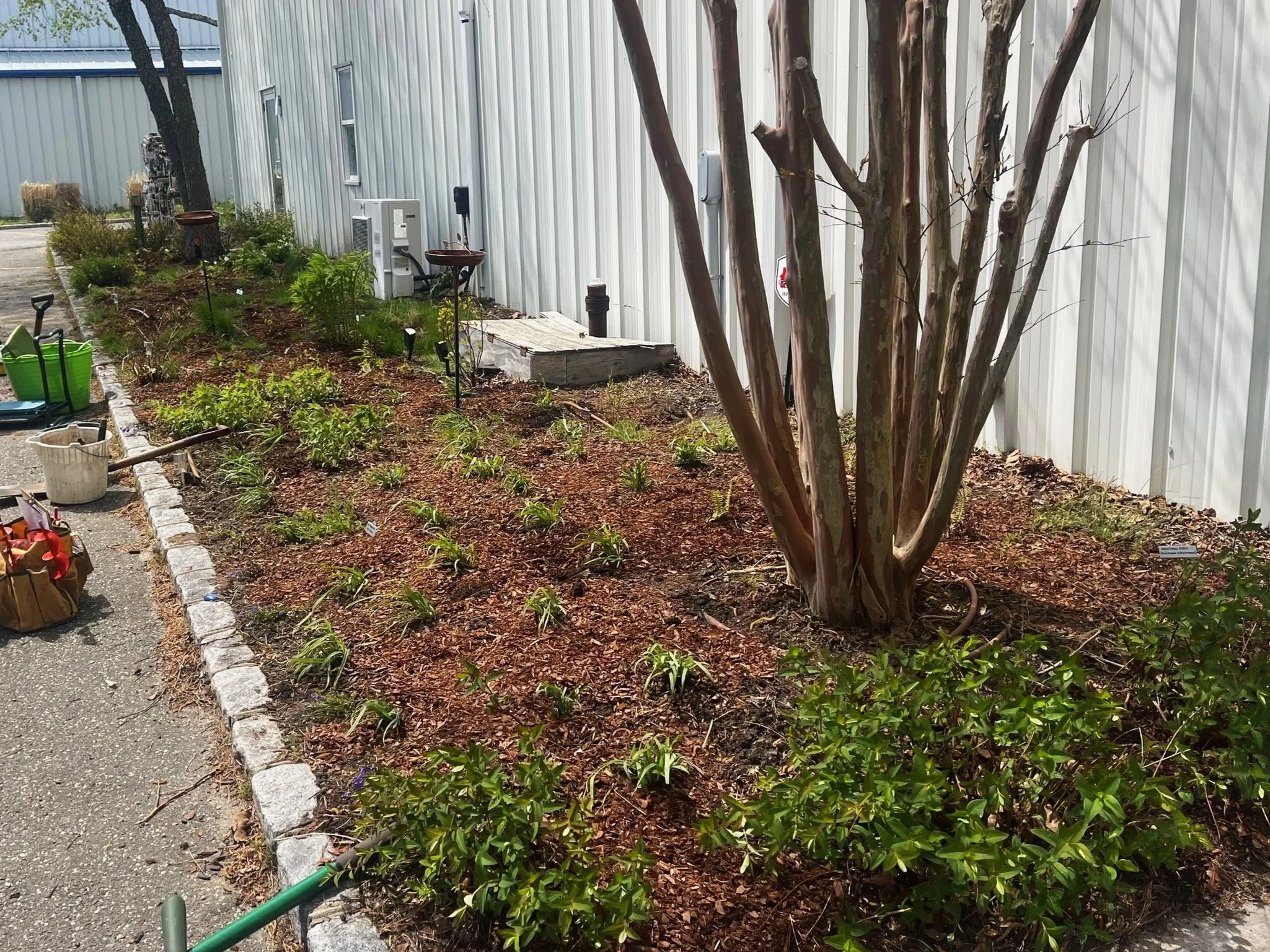 Newly planted garden bed, Spring 2026