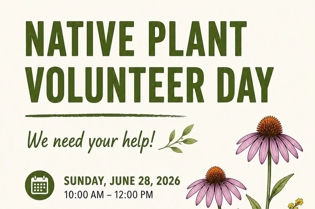 South Nassau: Native Plant Volunteer Day with Crossroads Farm