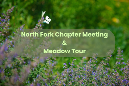 Meadow Tour and North Fork Monthly Chapter Meeting