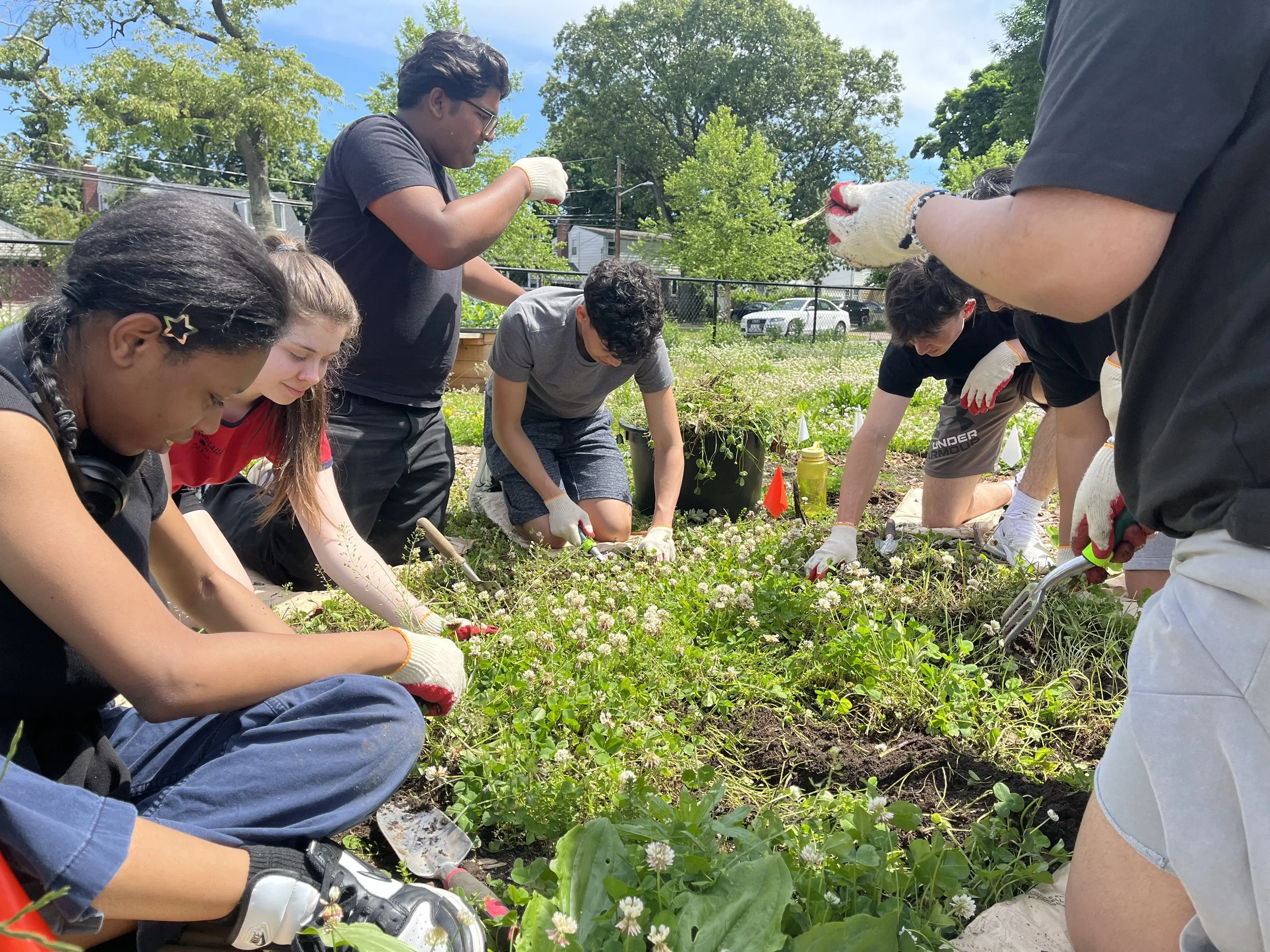 Volunteer Date with Students from Northwell Health South Oaks Hospital