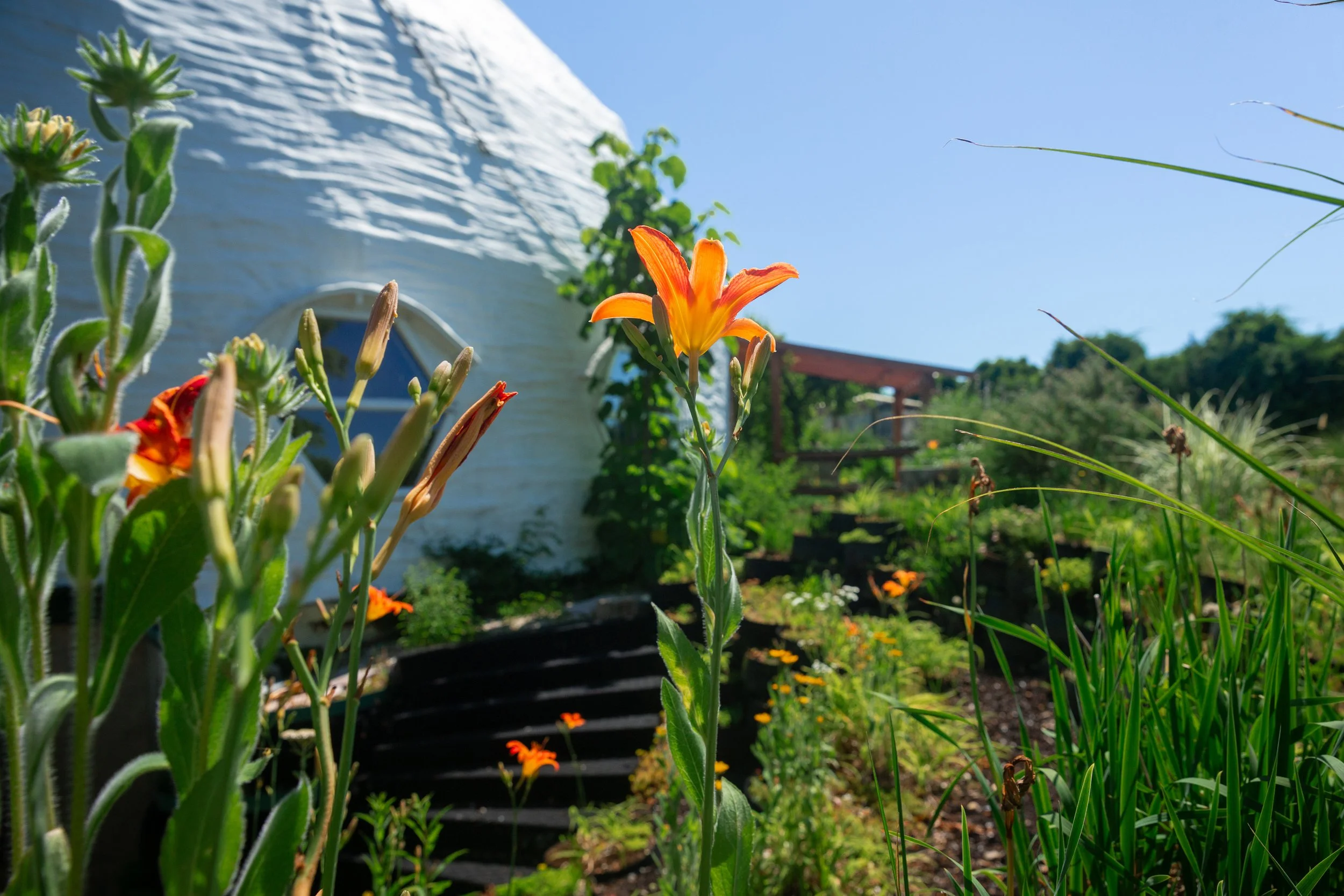 062026_Garden-008.jpg