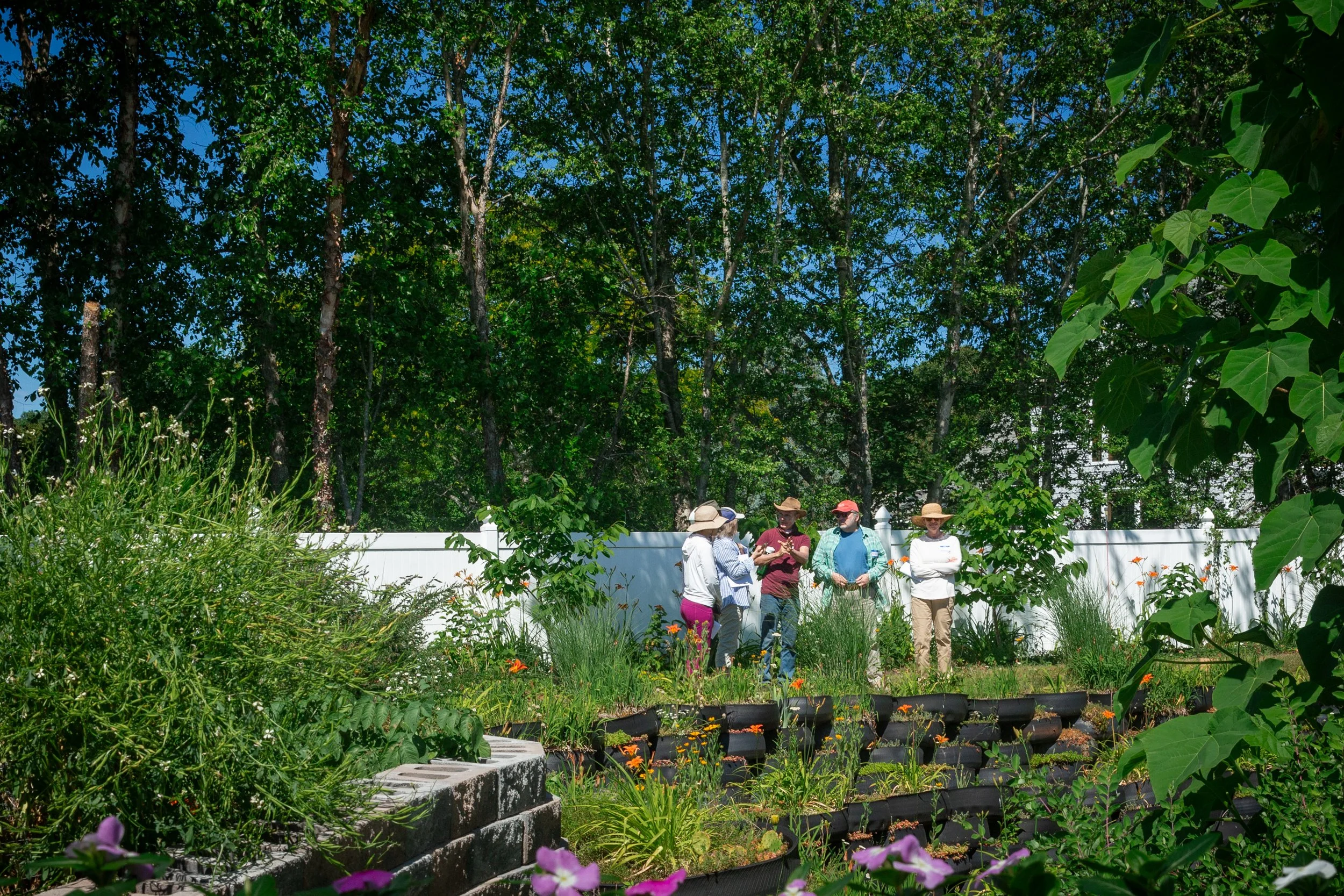 062026_Garden-009.jpg