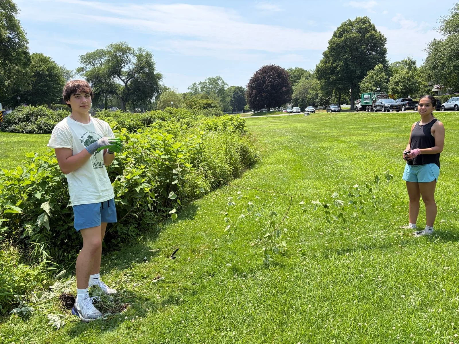 Removing invasive porcelain berry vines at the Village Green Surfrider Bioswale 