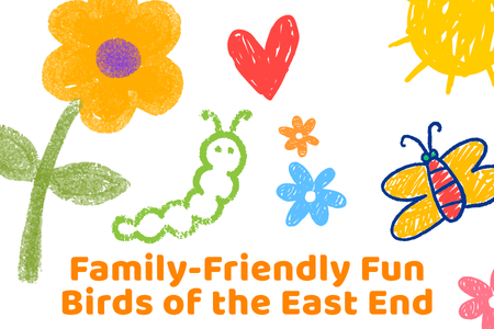 Birds of the East End: A Kids' Adventure in the Garden
