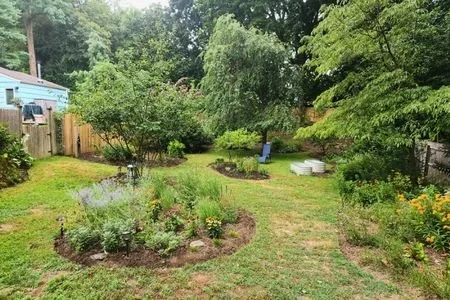 West Suffolk Native Garden Crawl