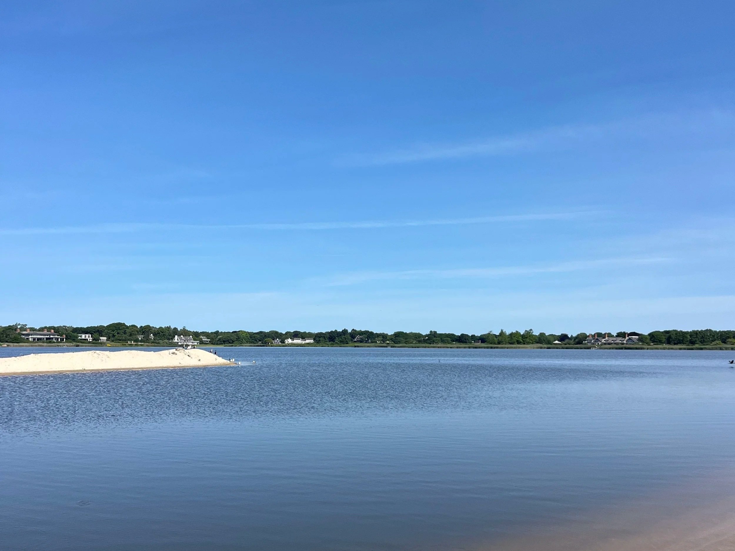 Free Walk: Perfect Earth Project at Georgica Pond