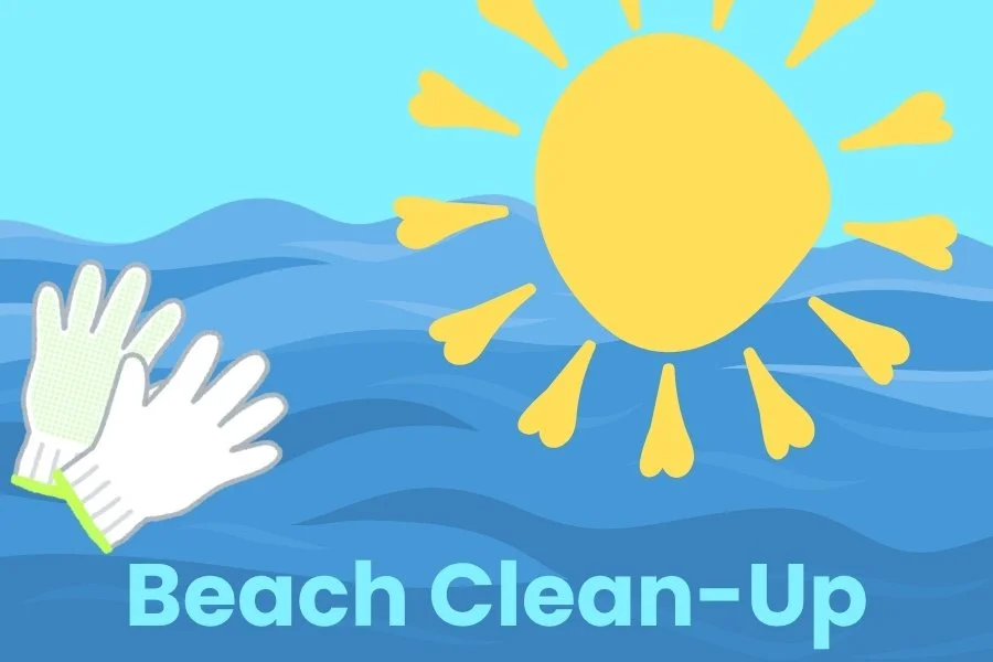 Beach Clean-Up in Amagansett