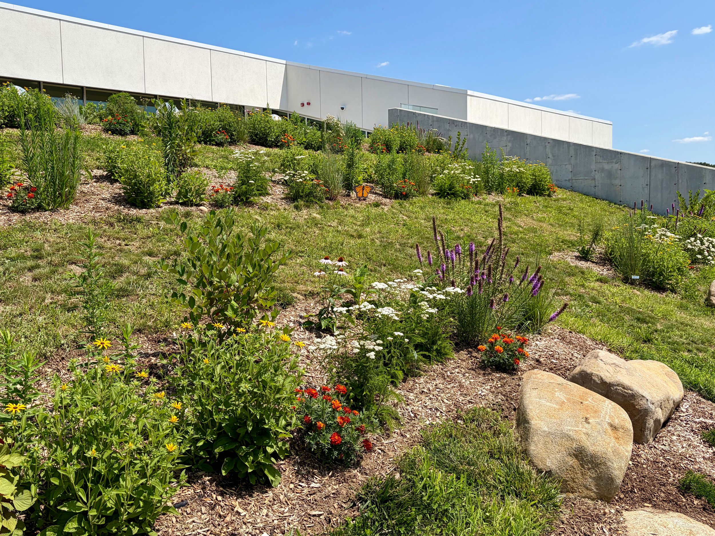 (After) Suffolk County Community College (SCCC) Michael J. Grant Campus, Community Garden Recipient 2026