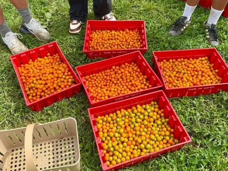  Lend a Hand at Share The Harvest Farm East Hampton