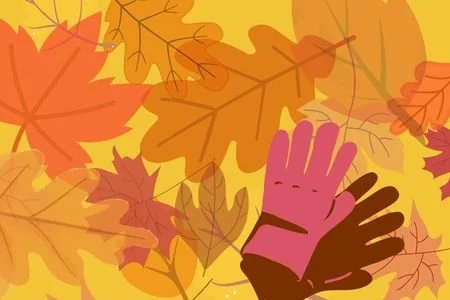 Q&amp;A Online: Learn what to skip on your next cleanup