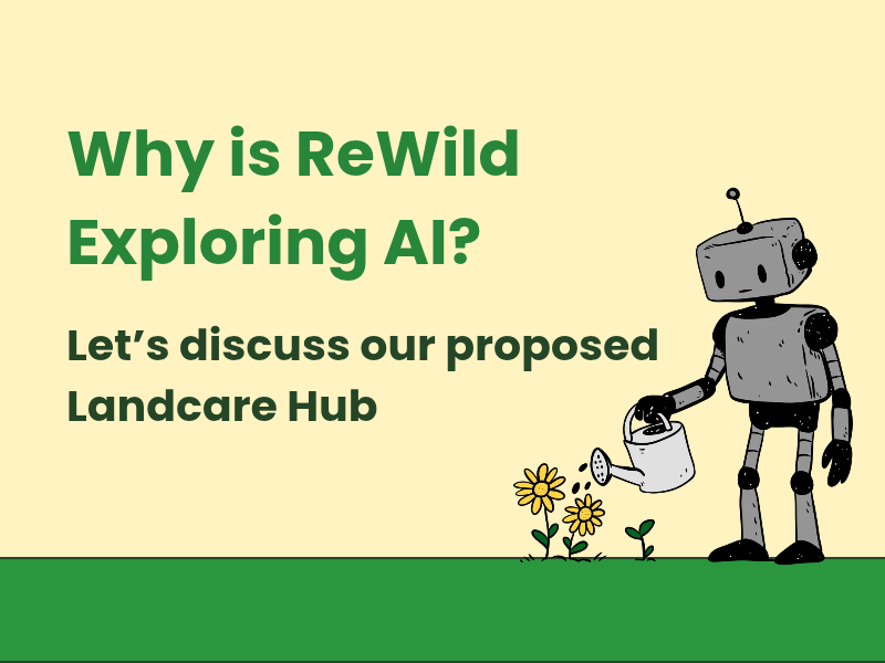 WEBINAR: ReWild Explores AI with a Proposed Landcare Hub
