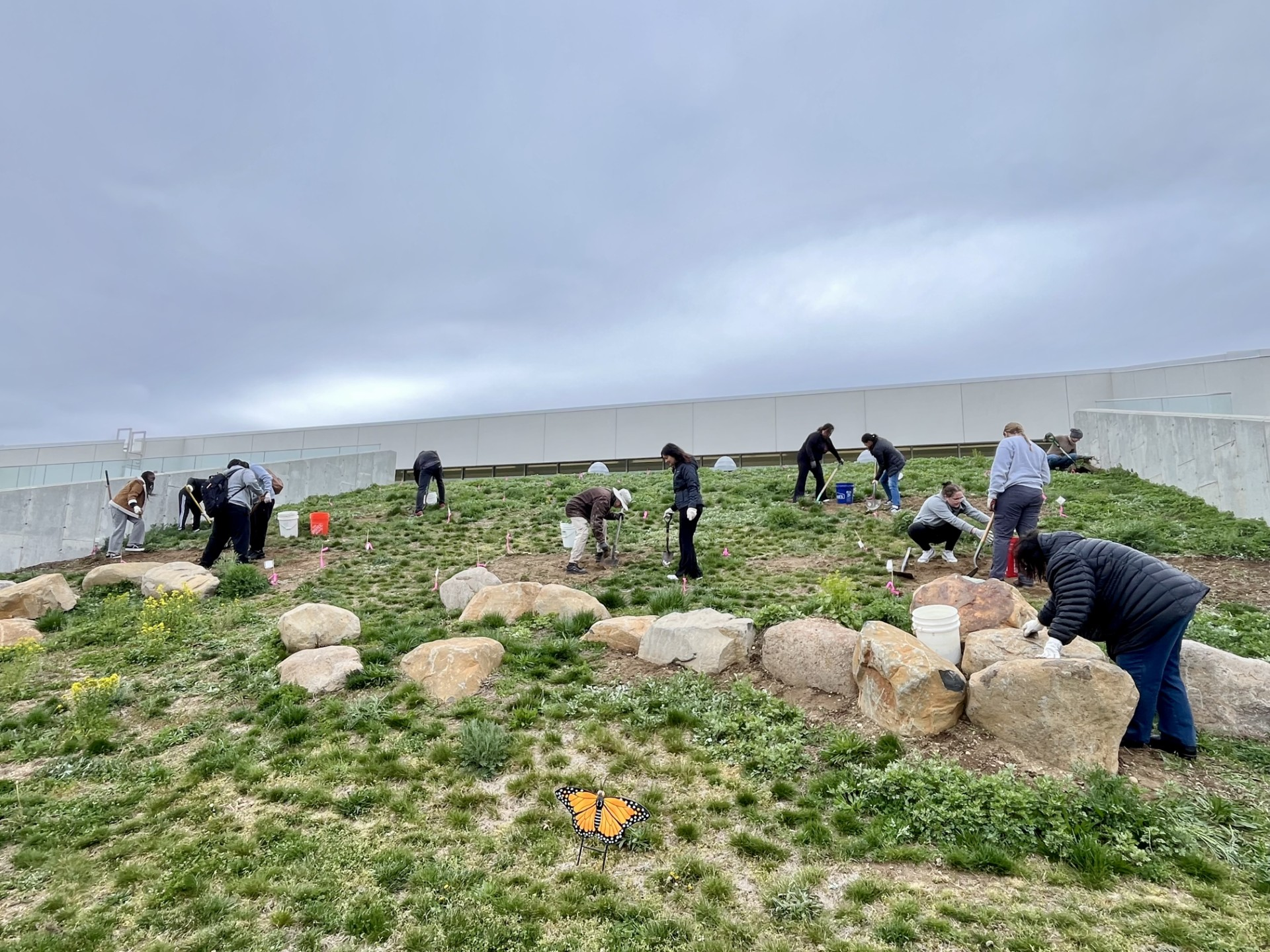 Volunteers prep the garden for planting