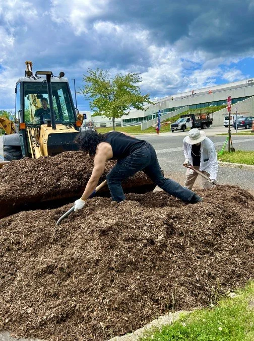 Volunteers mulching the garden