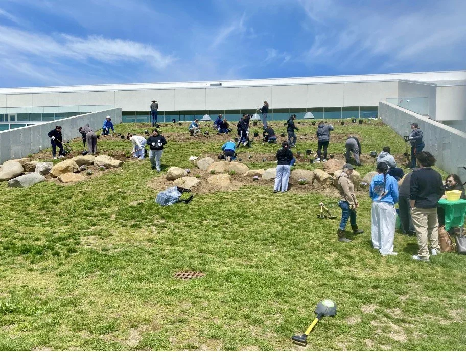 Volunteers planting the garden