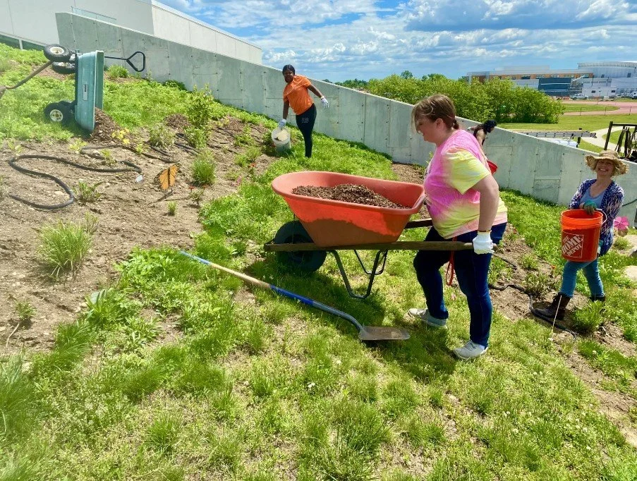Volunteer, Amy, helping to mulch the garden