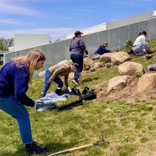 Volunteers on planting day