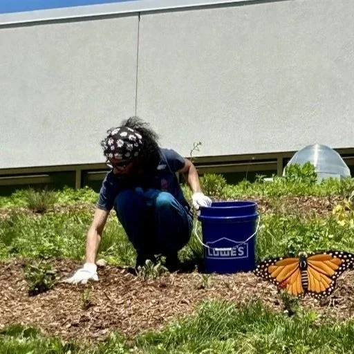 Volunteer, Luigi, helping to mulch the garden