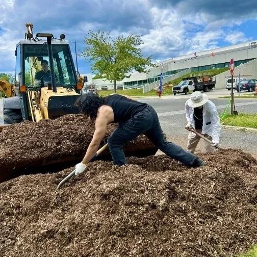 Volunteers mulching the garden