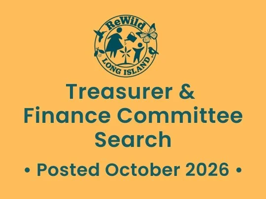 ReWild Treasurer &amp; Finance Committee Search